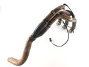 Triumph Tiger 955i 709EN [2001] - Manifold with lambda sensor-3