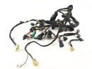 Suzuki DL 1000 V-Strom [2006] - wiring harness-1