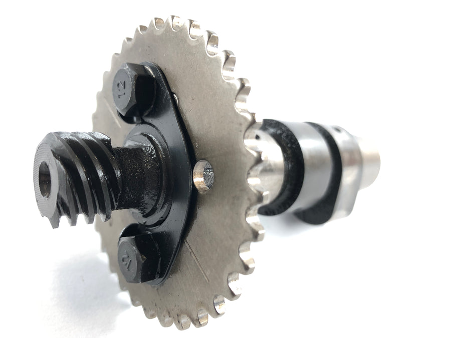 Kreidler Supermoto 125 [2008] - Camshaft