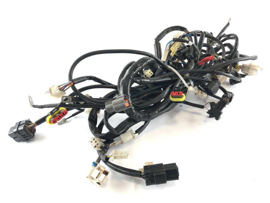 SWM SM 125 R [2017] - Wiring harness