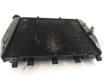 Kawasaki ZX-12R ZXT20A [2004] - Water Cooler Radiator - 0