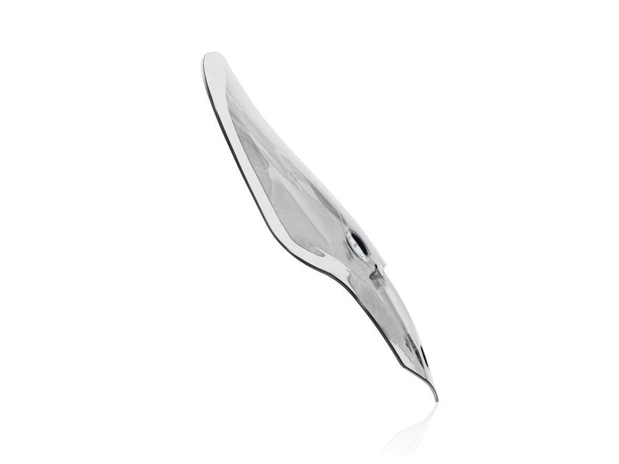 Triumph Tiger 1200 GT Pro [2022-2026] - Touring Windschild – Ansicht 10