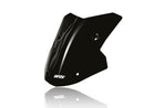 BMW S 1000 XR [2020-2026] - Sport Windschild – Ansicht 8
