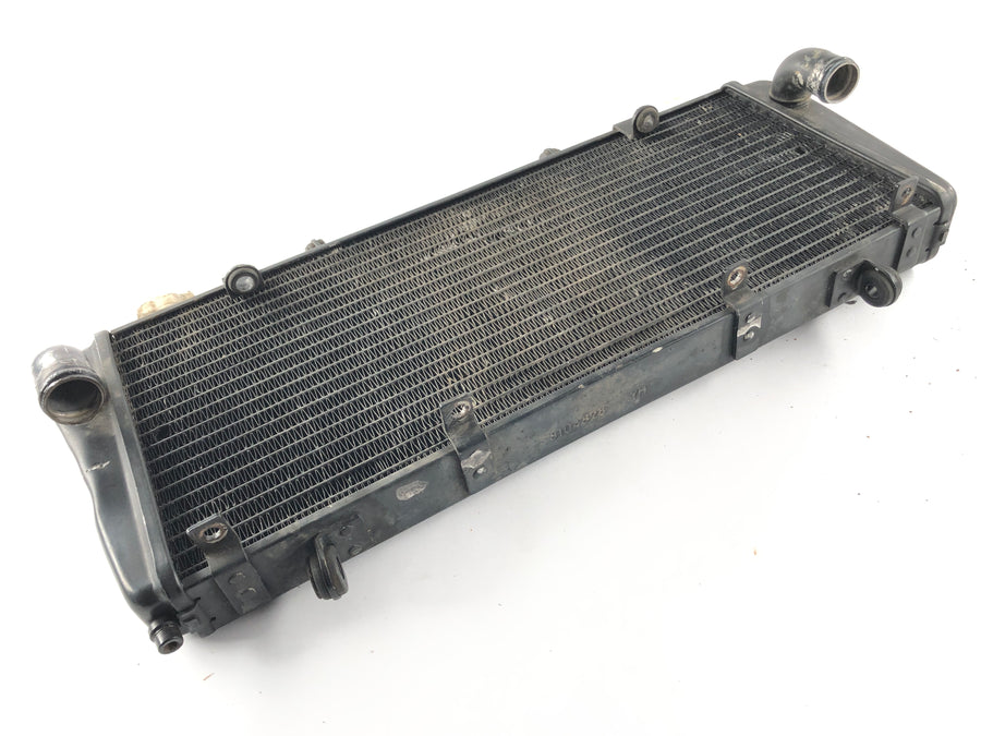 Aprilia RSV 1000 RR Factory [2009] - Radiator Water Cooler
