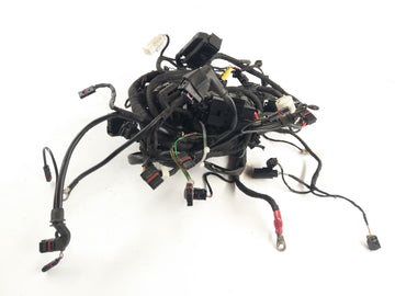 BMW K 1200 R [2010] - wiring harness
