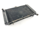 Aprilia RS 125 MPB [2000] - Radiator Water Cooler-1