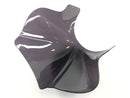 Yamaha XJR 1200 4PU [1995] - Fairing Visor with ABE-6