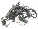 BMW F 800 ST [2006] - wiring harness-1