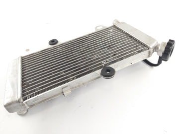 Yamaha XT 660 X DM01 [2006] - Radiator Water Cooler - 0