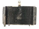 Aprilia RS 125 MPB [2000] - Radiator Water Cooler-4