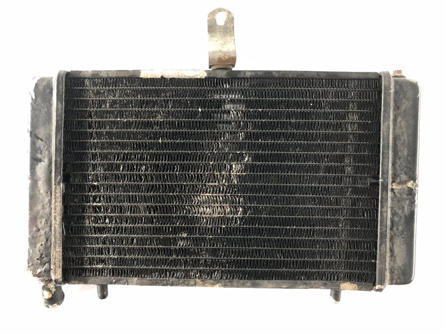 Aprilia RS 125 MPB [2000] - Radiator Water Cooler