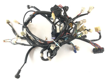 Yamaha XT 660 DM01 [2005] - wiring harness - 0